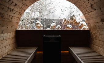 montani-schnee-2-brt16