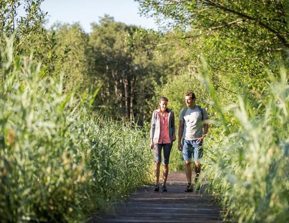 idm-suedtirol-alex-filz-2