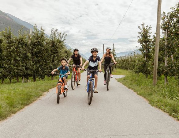 residence-montani-web30